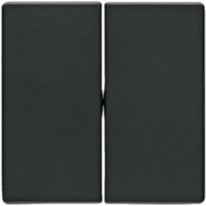 Berker MAN0200523 Wippe 2-fach, Q.x, tiefschwarz matt