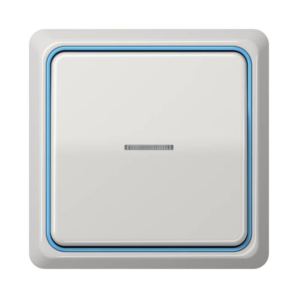 Jung CDP581LG Rahmen 1-fach, senkrechte und waagerechte Montage, Duroplast, CD PLUS, lichtgrau