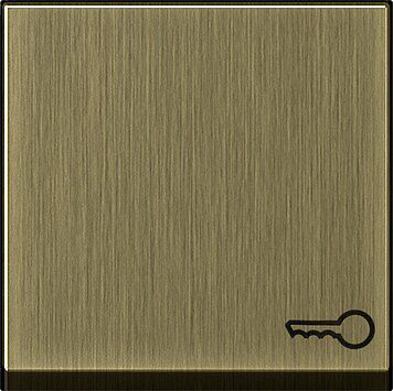 Gira 0287603 Wippe mit Symbol "Tür"