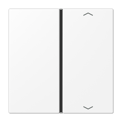 Jung LS401TSAPWWM Taste 1-fach, mit Pfeilsymbolen, F40, Serie LS, schneeweiß matt