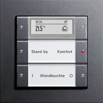 Gira 214228 Wippenset 2-fach Plus mit Beschriftungsfeld, System 55, Klar/anthrazit