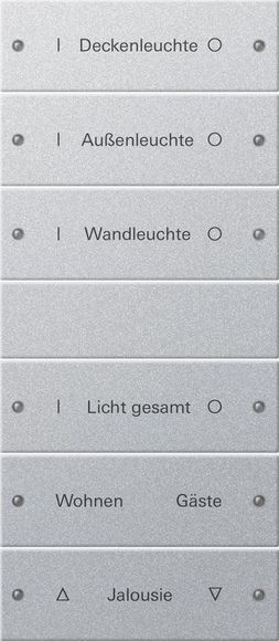 Gira 220626 Wippenset 6-fach (3+3) beschreibbar System 55 F Alu lackiert