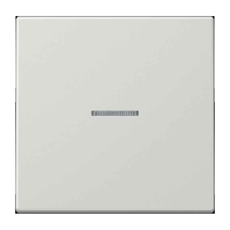 Jung LS990KO5LG Wippe mit Lichtleiter, Duroplast, Serie LS, lichtgrau