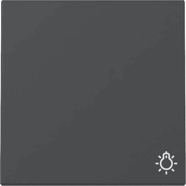 Gira 328528 Wippe Symbol "Licht", System 55, anthrazit