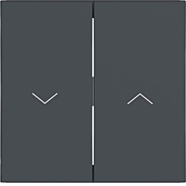 Hager WAW2001AT Wippe 2-fach mit Aufdruck Symbol 2x Pfeile, A.x/C.x, anthrazit matt
