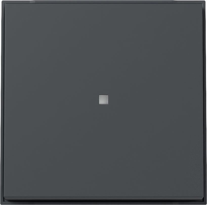 Gira 329067 Wippe Kontrollfenster, Gira TX_44, (WG UP), anthrazit