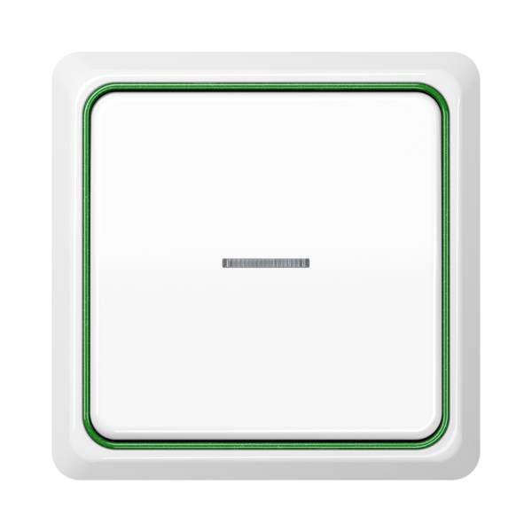 Jung CDP81GNM Applikations-Rahmen, CD PLUS, grün-metallic