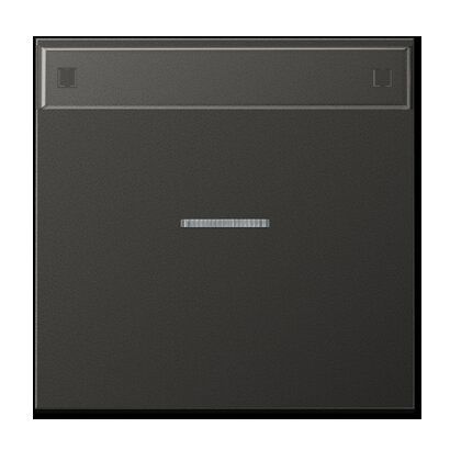 Jung AL2990NAKO5AN Wippe mit Lichtleiter, mit Schriftfeld, Aluminium lackiert, Serie LS, anthrazit