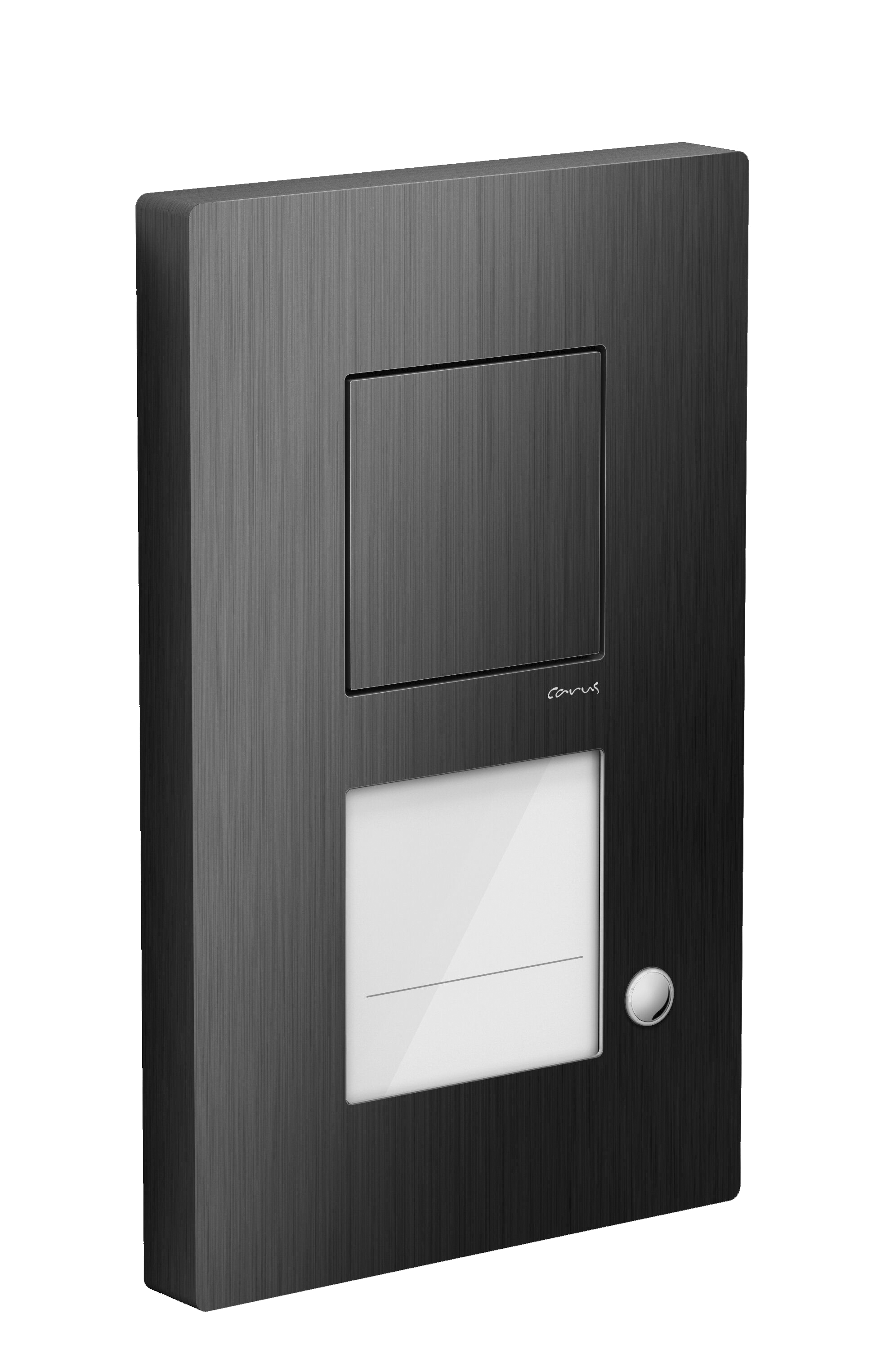 TCS CARUS CAE1001-0156 IRIS Audio-Aussenstation Aufputz für 1 WE
