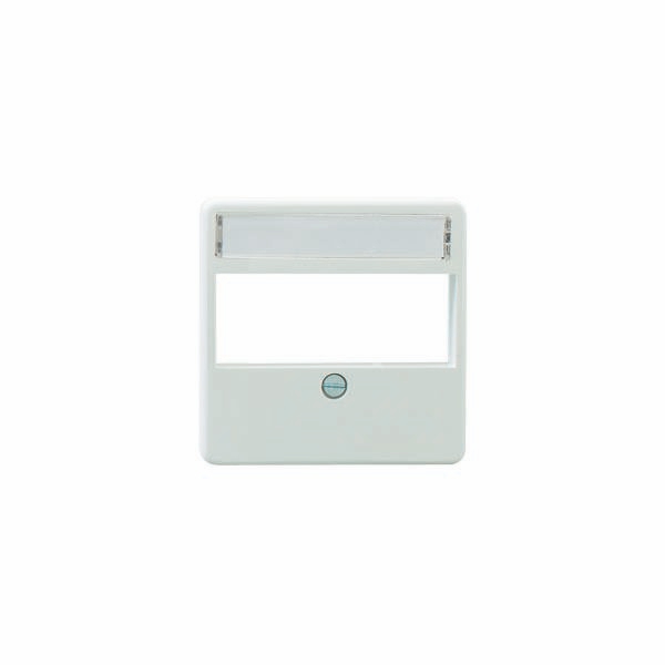 Rutenbeck 13910002 Zentralstück für 3 modulare Stecköffnungen RJ45, mit Beschriftungsfeld, perlweiß