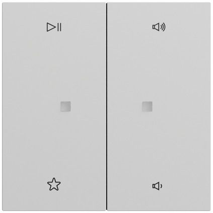 Gira 538476 Wippe 2-fach Audiosteuerung, System 70, grau matt (lackiert)