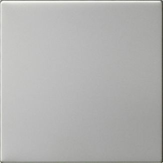 Gira 5372600 Wippe 1-fach unbedruckt, System 55, Edelstahl