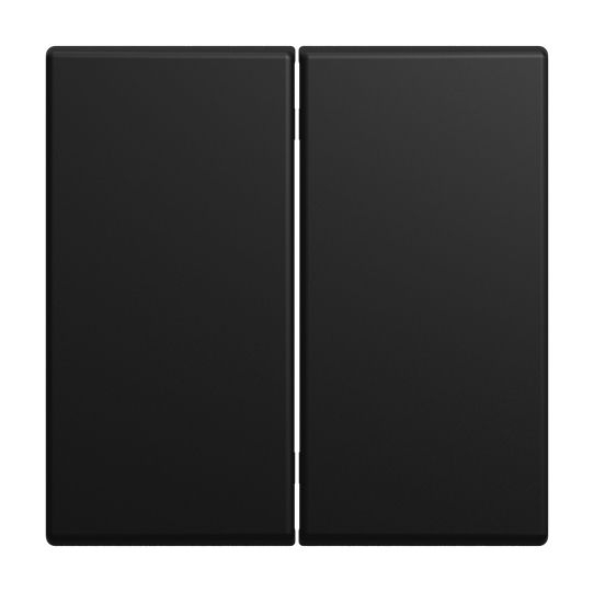 Busch-Jaeger 6736 FoH-915 Wippe 2-fach für Smart Switch Einsatz, Busch-balance SI, schwarz matt