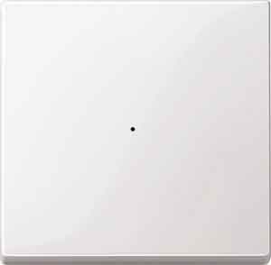 Merten 619119 Wippe für Tastermodul 1-fach, System M, polarweiß glänzend