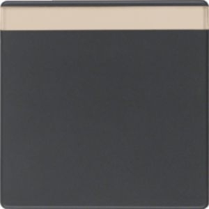 Berker MAN0200223 Wippe 1-fach mit Beschriftungsfeld, Q.x, tiefschwarz matt