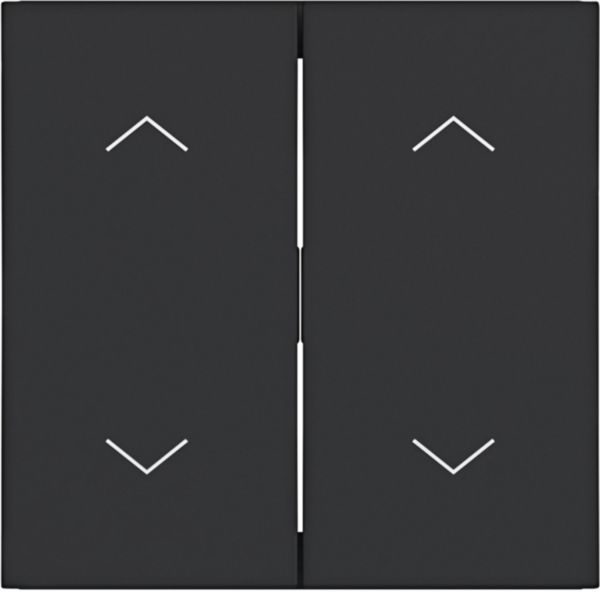 Hager WAW2002BM Wippe 2-fach mit Aufdruck Symbol 4x Pfeile, A.x/C.x, nachtschwarz matt