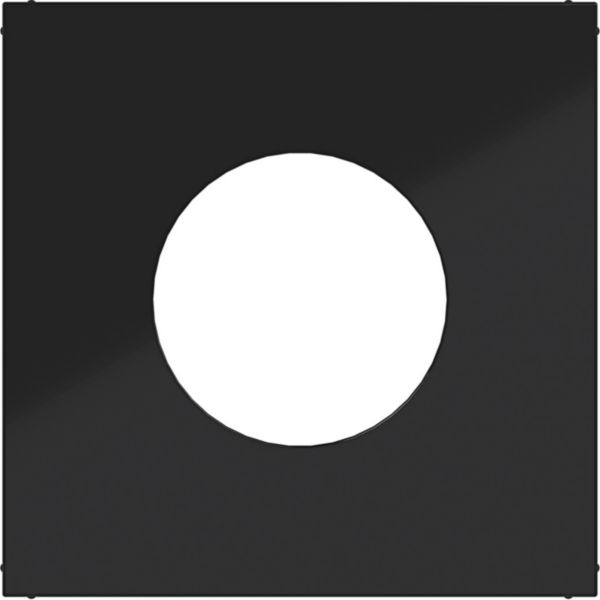Hager WAF3554BG Zentralstück für Drucktaster/Lichtsignal E10, A.x/C.x, nachtschwarz glänzend