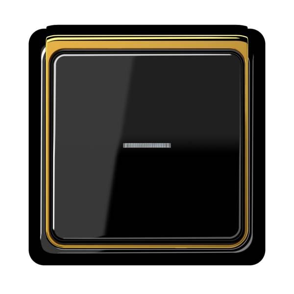Jung CDP82GGO Applikations-Segment, CD PLUS, glanzgold (galvanisiert)