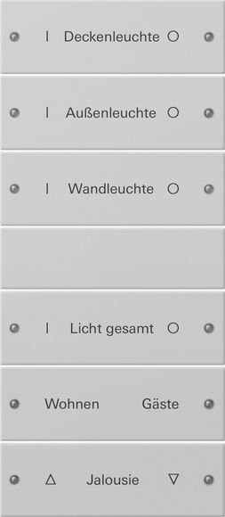 Gira 2206015 Wippenset 6-fach, (3+3) beschreibbar, System 55, Grau matt