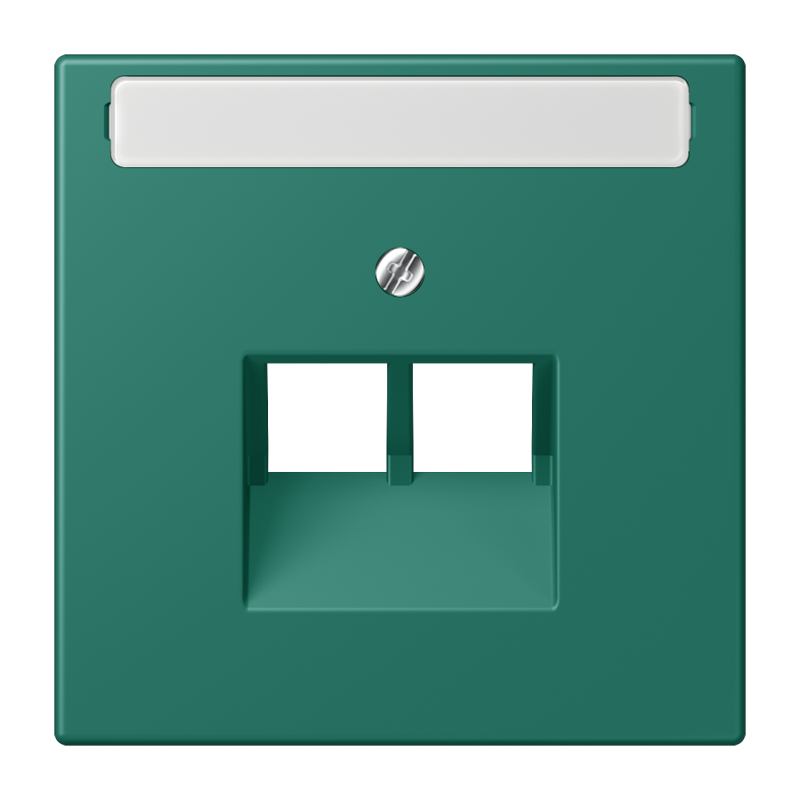 Jung LC9692NAUA216 Abdeckung für IAE/UAE-Anschlussdosen, 2 x 8-polig, mit Schriftfeld, Les Couleurs® 32040, vert anglais