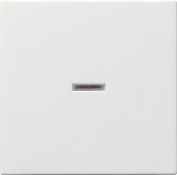 Gira 029003 Wippe mit Kontrollfenster, System 55, reinwei脽 gl盲nzend