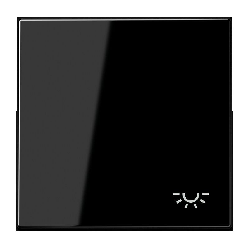 Jung LS990LSW Wippe, Symbol Licht, Duroplast, Serie LS, schwarz