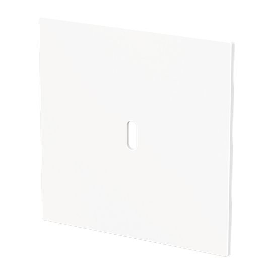 Busch-Jaeger 6479-44M Zentralscheibe für USB Ladestation 1-fach mit USB-C-Anschluss, Busch-art linear, studioweiß matt