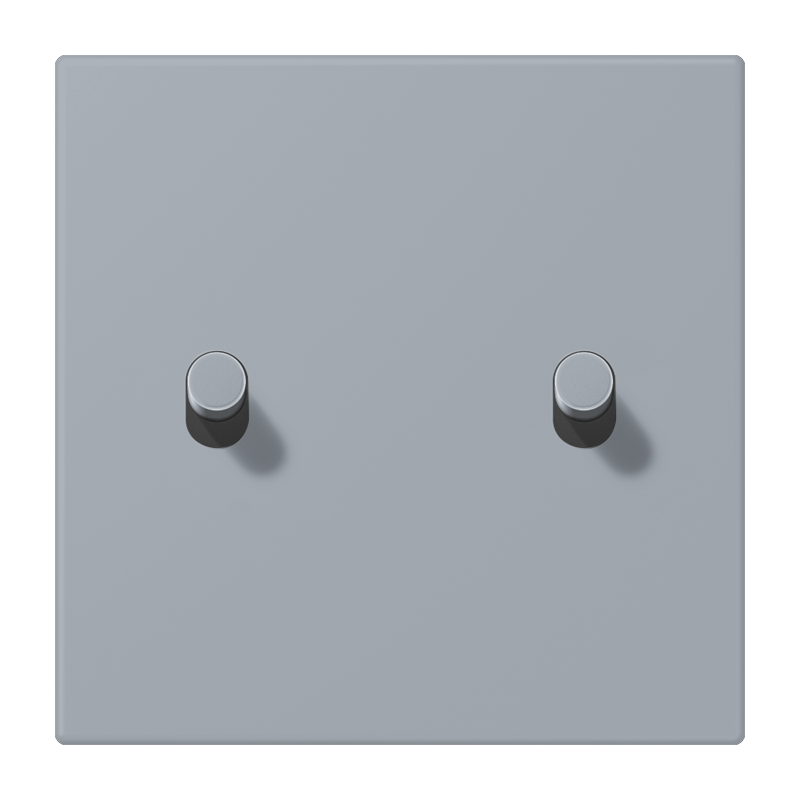 Jung LC12-5R0257 Abdeckung mit Kipphebel "Zylinder", 2 Kipphebel, gris clair 59