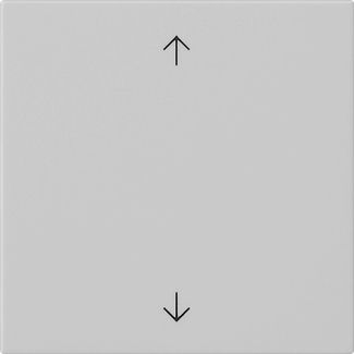 Gira 5389015 Wippe 1-fach Pfeile, System 55, grau matt
