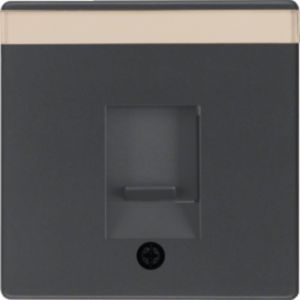 Berker MAN0206723 Zentralstück für Modular-Buchse 1-fach mit Staubschutzschieber und Beschriftungsfeld, Q.x, tiefschwarz matt
