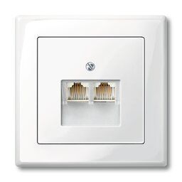 Merten 296119 Zentralplatte für UAE-Einsatz, 2-fach, System M, polarweiß glänzend