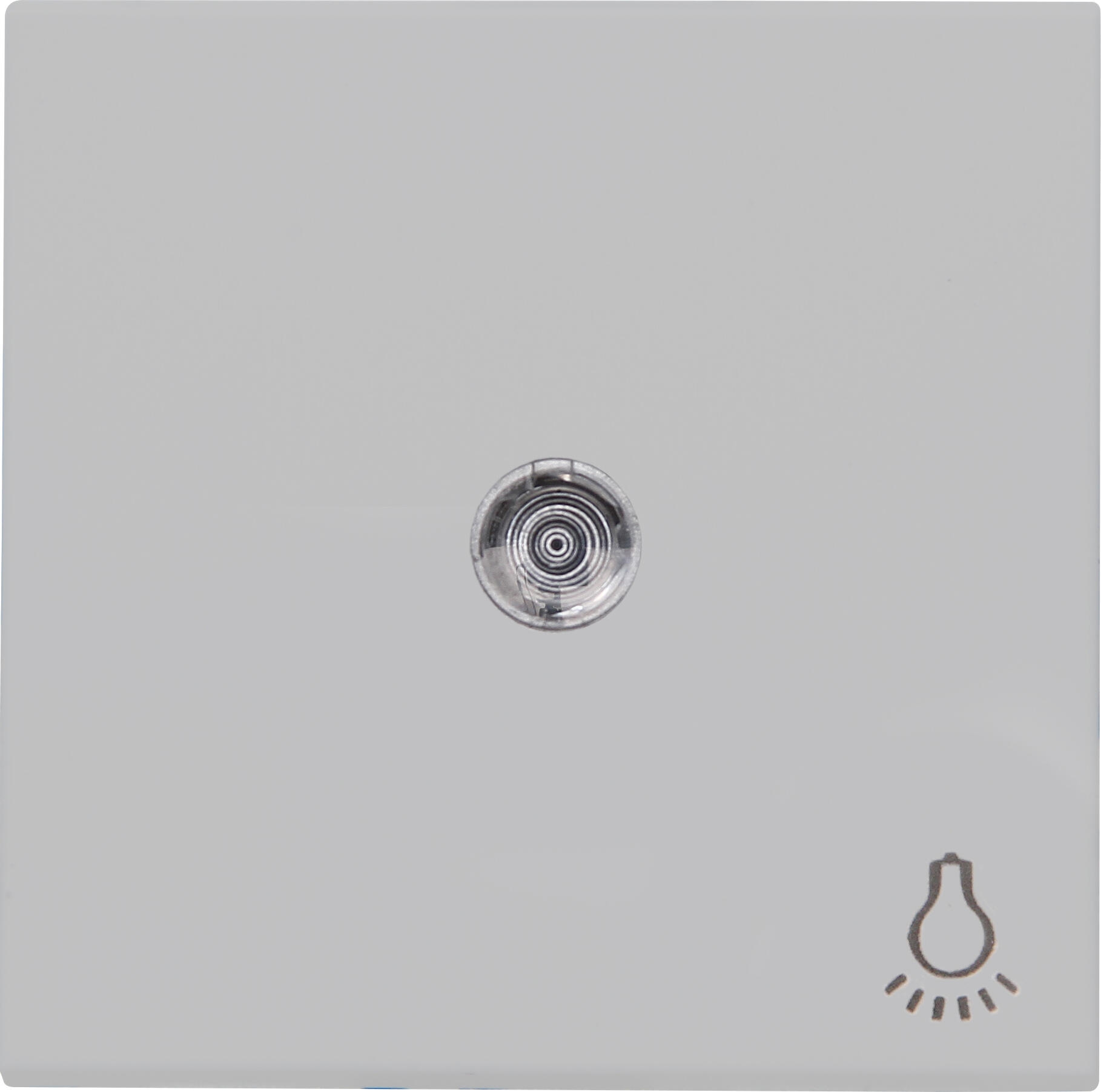 Kopp 490445000 HK07 - Flächenwippe mit Linse und Symbol "Licht", Farbe: grau matt
