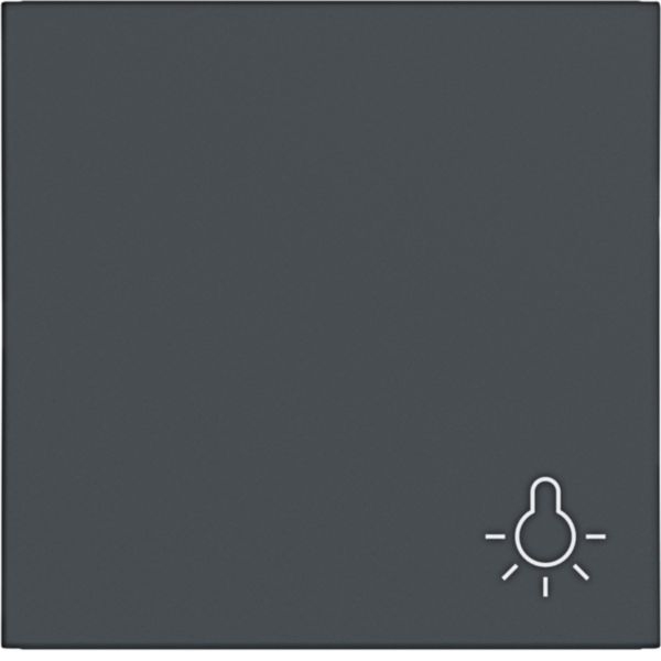 Hager WAW1012AT Wippe 1-fach mit Aufdruck Symbol Licht, A.x/C.x, anthrazit matt
