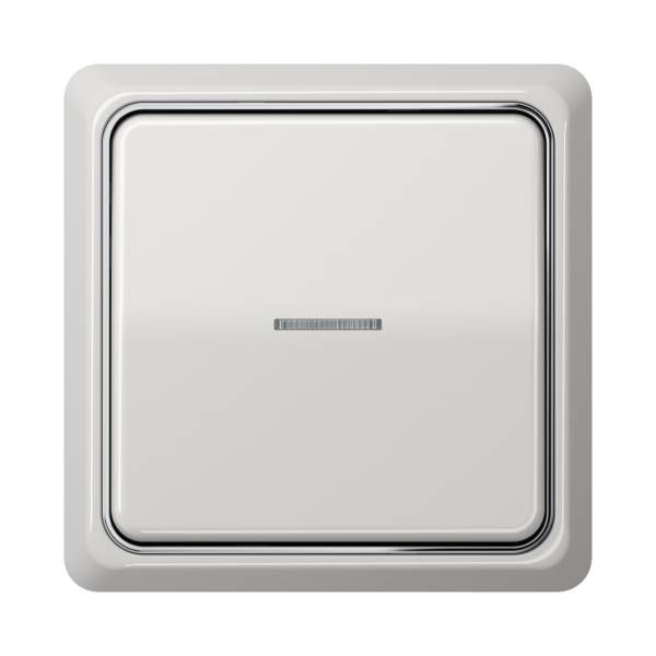 Jung CDP581LG Rahmen 1-fach, senkrechte und waagerechte Montage, Duroplast, CD PLUS, lichtgrau