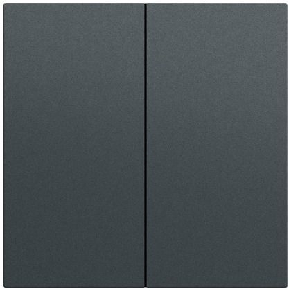 Gira 329573 Wippe 2-fach, System 70, anthrazit (lackiert)
