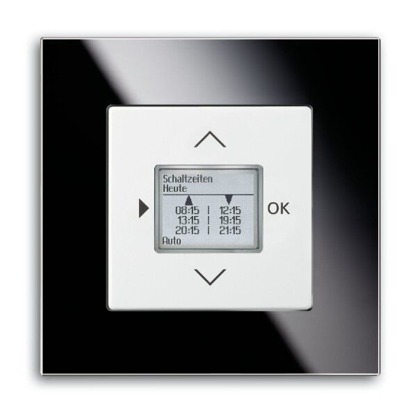 Busch-Jaeger 6435-84 Zentralscheibe für Timer/Raumtemperatur-Regler-Bedienelement mit Aufdruck Symbol "Pfeiler" und "OK", studioweiß glänzend, Plattform 63