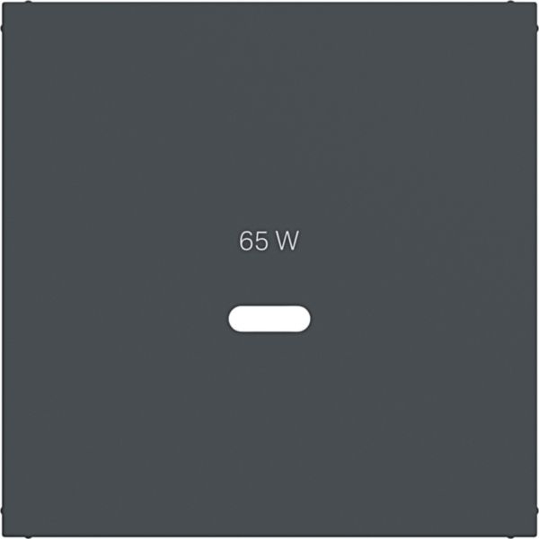 Hager WAF1511AT Zentralstück für Ladesteckdose USB-C Power Modul, A.x/C.x, anthrazit matt