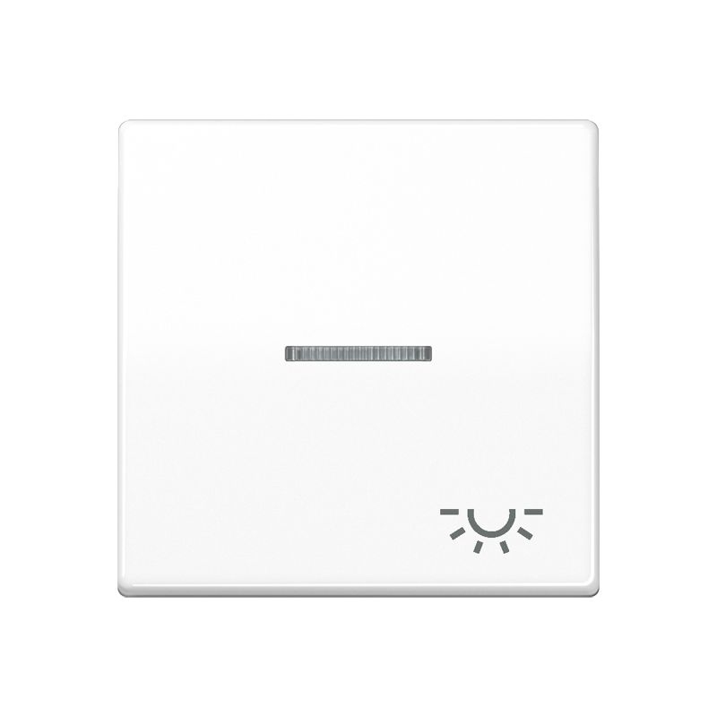 Jung SPAS591KO5LWW Wippe mit Lichtleiter, Symbol Licht, Duroplast antimikrobiell, Serie AS, alpinweiß