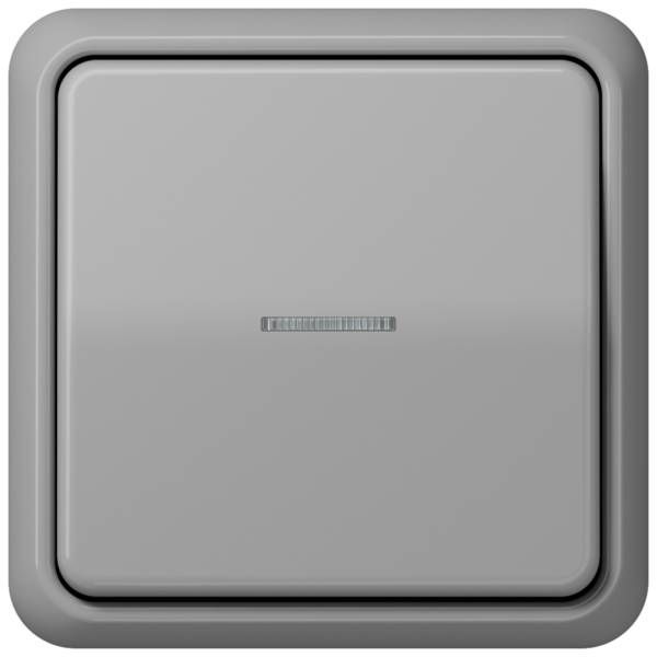 Jung CD581GR Rahmen 1-fach, senkrechte und waagerechte Montage, Duroplast, CD 500, grau
