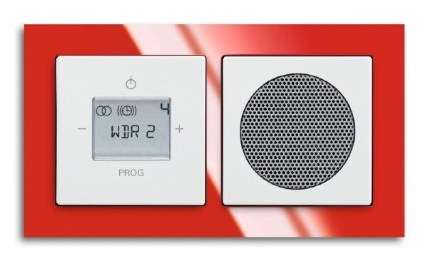Busch-Jaeger 8215 U-101 Busch-Radio mit DAB+ und RDS-Stereo-Radiowecker, UP