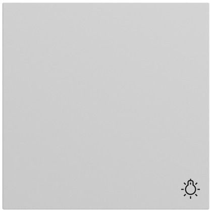 Gira 328576 Wippe mit Symbol Licht, System 70, grau matt (lackiert)
