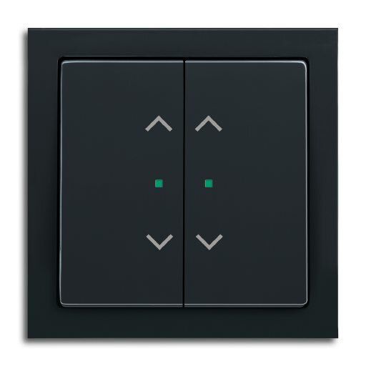 Busch-Jaeger 6232-20-81 Wippe 2-fach links/rechts Symbol Jalousie
