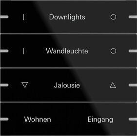 Gira 503405 Wippenset 4-fach individuell für Tastsensor 4.95, Glas Schwarz