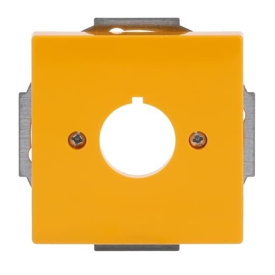 Busch-Jaeger 2533-82-15 Zentralscheibe mit Tragring für Geräte 22,5 mm Ø, gelb glänzend, Plattform 63