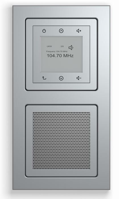 Berker 10126094 Rahmen 2-fach Q.3, aluminium samt