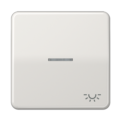 Jung CD590KO5LLG Wippe mit Lichtleiter, Symbol Licht, Duroplast, Serie CD, lichtgrau