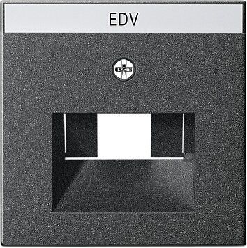 Gira 028428 Abdeckung mit Beschriftungsfeld UAE/IAE und Netzwerk, System 55, anthrazit