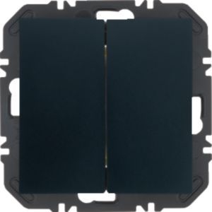 Berker 24121636 Friends of Hue Modul mit Wippe 2-fach, S.x/B.x, anthrazit samt