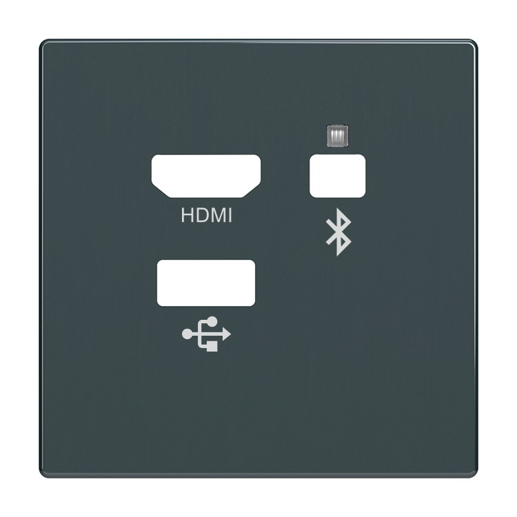 Busch-Jaeger 8256-81 Zentralscheibe Multimedia Connector, anthrazit glänzend