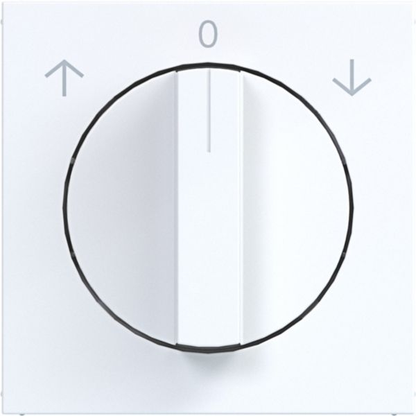 Hager WAF1317WG Zentralstück mit Drehknopf für Jalousie-Drehschalter, A.x/C.x, lichtweiß glänzend